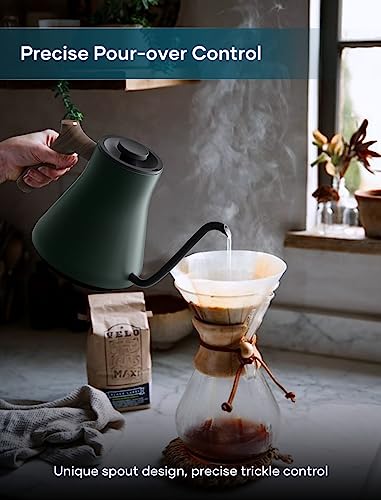 INTASTING Electric Gooseneck Kettle, ±1℉ Temp Control, Quick Heating