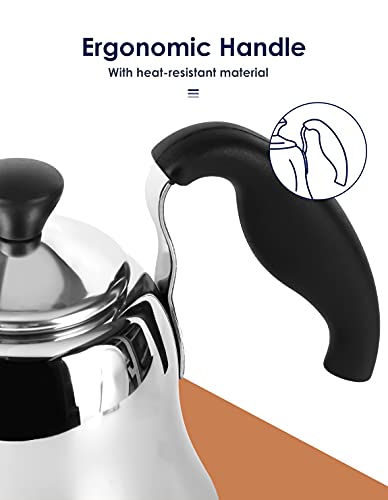 Barista's Choice Gooseneck Pour Over Coffee Kettle Silver