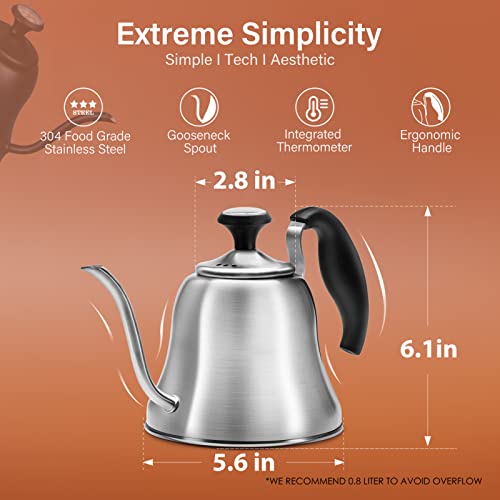 Stainless Steel Gooseneck Kettle with Thermometer - 28oz