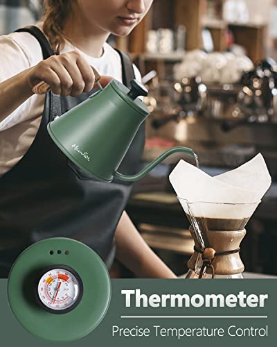 Harriet Gooseneck Pour Over Kettle with Thermometer