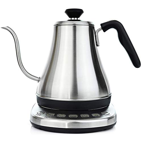 Electric Gooseneck Kettle with Temperature Control - 1L Stainless