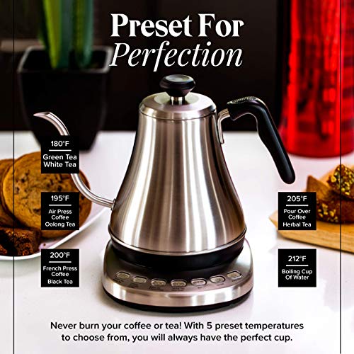 Electric Gooseneck Kettle with Temperature Control - 1L Stainless