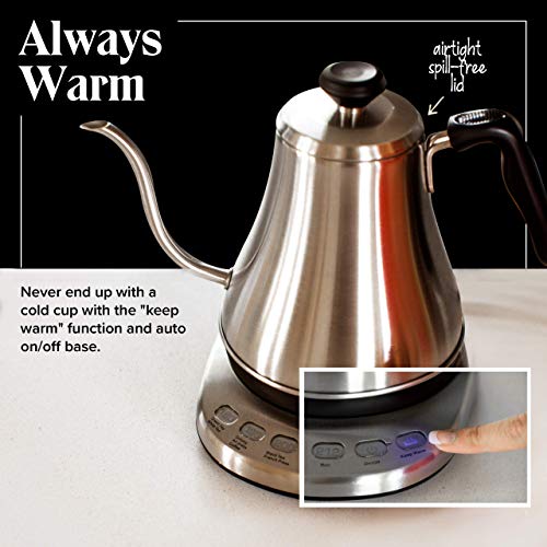 Electric Gooseneck Kettle with Temperature Control - 1L Stainless