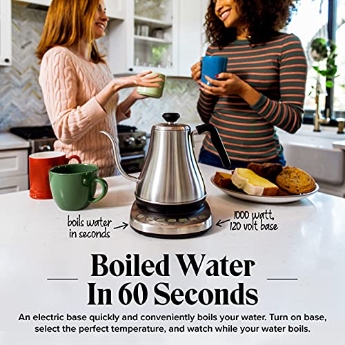 Electric Gooseneck Kettle with Temperature Control - 1L Stainless
