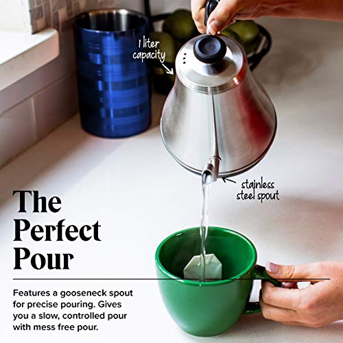 Electric Gooseneck Kettle with Temperature Control - 1L Stainless