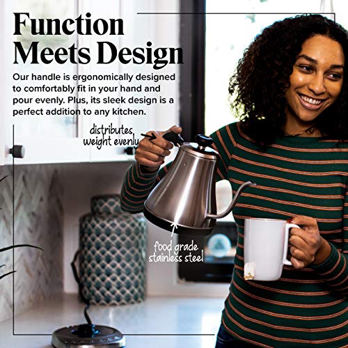 Electric Gooseneck Kettle with Temperature Control - 1L Stainless
