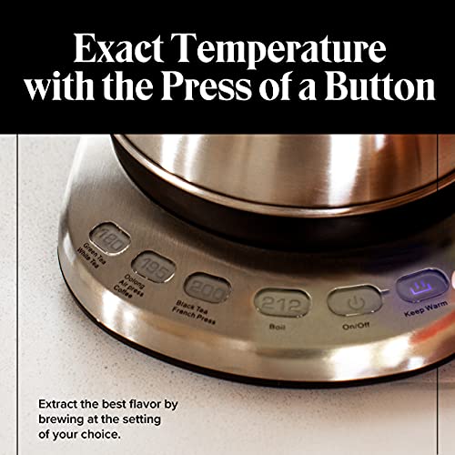 Electric Gooseneck Kettle with Temperature Control - 1L Stainless