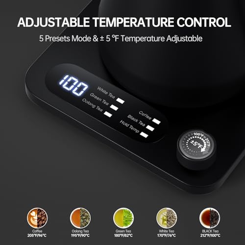 Tisanio Electric Gooseneck Kettle with Temperature Control