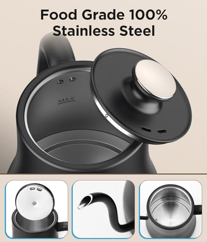 Matte Black Gooseneck Electric Kettle, 27oz, Temperature Control