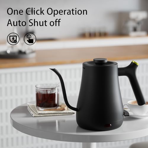 Larmstom Electric Gooseneck Kettle, 304 Stainless Steel Boiler