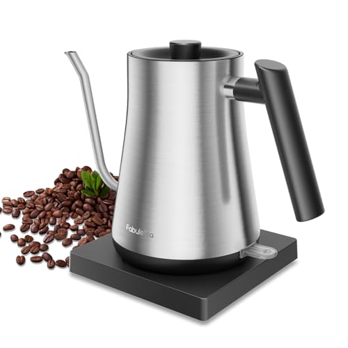 Fabuletta Gooseneck Electric Kettle for Pour-over Coffee & Tea