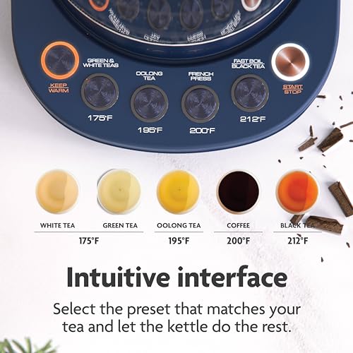 Electric Glass Kettle with Tea Infuser and Temperature Control
