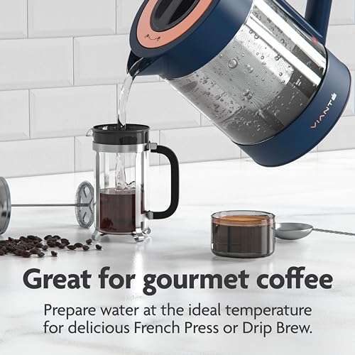 Electric Glass Kettle with Tea Infuser and Temperature Control