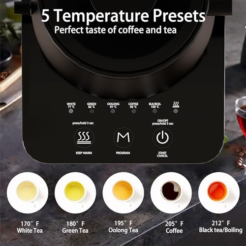 Electric Gooseneck Kettle with 5 Variable Presets, 1200W