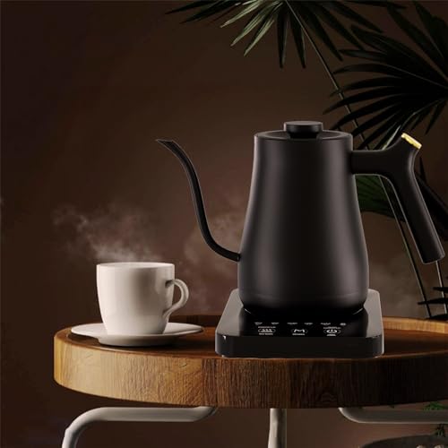 Electric Gooseneck Kettle with 5 Variable Presets, 1200W