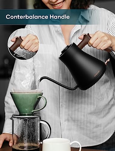 Matte Black Electric Kettle for Pour-over Coffee