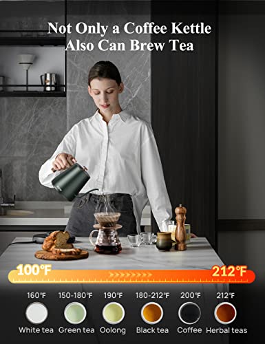 KLEAH Gooseneck Electric Kettle - 0.8L Tea & Coffee