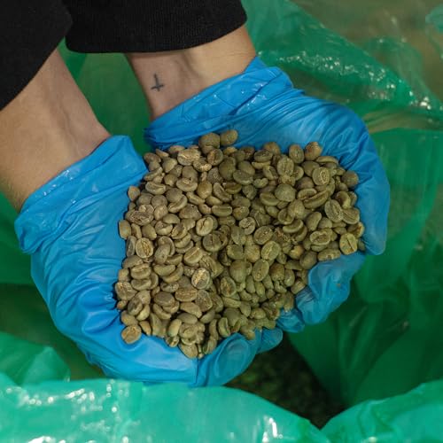 5 lb Kosher Kenya AA Roasted & Unroasted Coffee