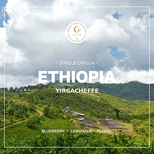 Organic Ethiopian Yirgacheffe Green Coffee Beans, 3lbs