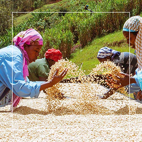 Grand Parade 5 Lbs Rwanda Kivu Green Coffee