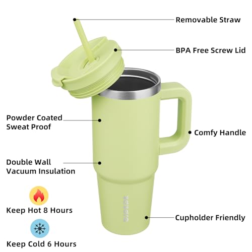 30oz Stainless Steel Insulated Tumbler with Handle & Straw