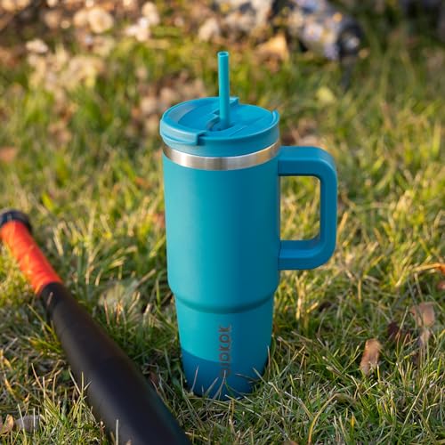 30oz Stainless Steel Insulated Tumbler with Handle & Straw