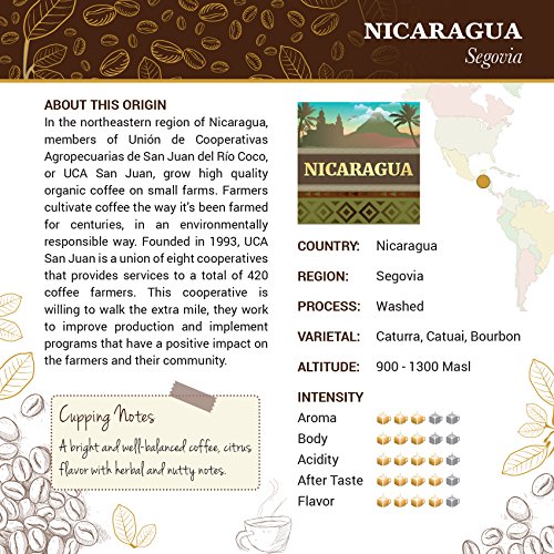 Organic Nicaraguan Coffee - Freshly Roasted - Single Origin