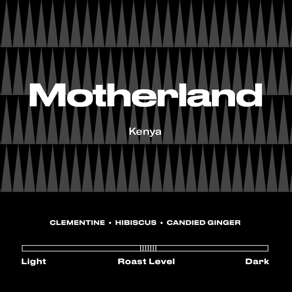 Kenyan Direct Trade Whole Bean Specialty Coffee - 12oz