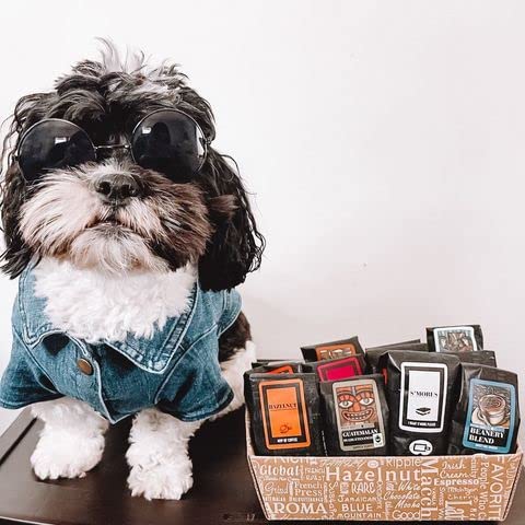 Luxurious Coffee Gift Box | 100% Specialty Arabica