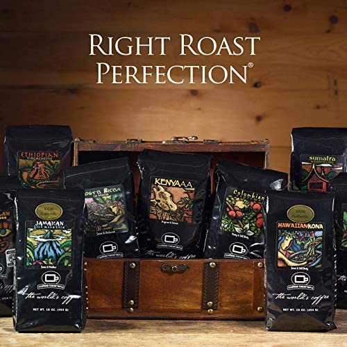 Specialty 100% Arabica Coffee Sampler Pack | 6 Bags