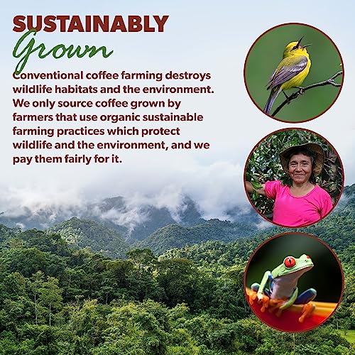 Java Planet Organic Sumatra Dark Roast Whole Beans