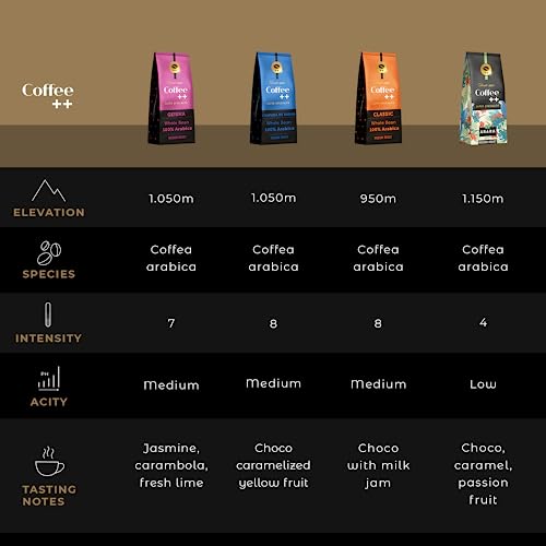 Gourmet Coffee Sampler Gift Set | 2.2 lbs