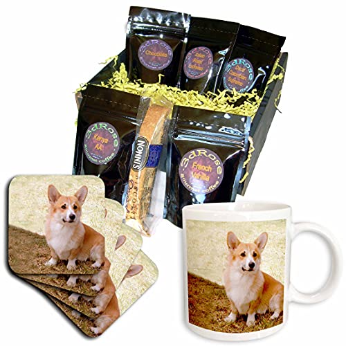 Pembroke Welsh Corgi Coffee Gift Basket, Multi-Pack