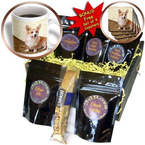 Pembroke Welsh Corgi Coffee Gift Basket, Multi-Pack