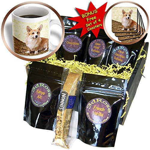 Pembroke Welsh Corgi Coffee Gift Basket, Multi-Pack
