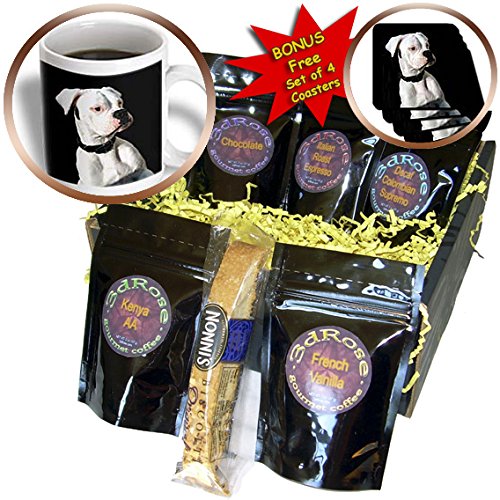 White Boxer Coffee Gift Basket by 3dRose