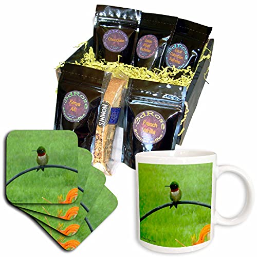 3dRose Male Hummingbird Coffee Gift Basket, Multi