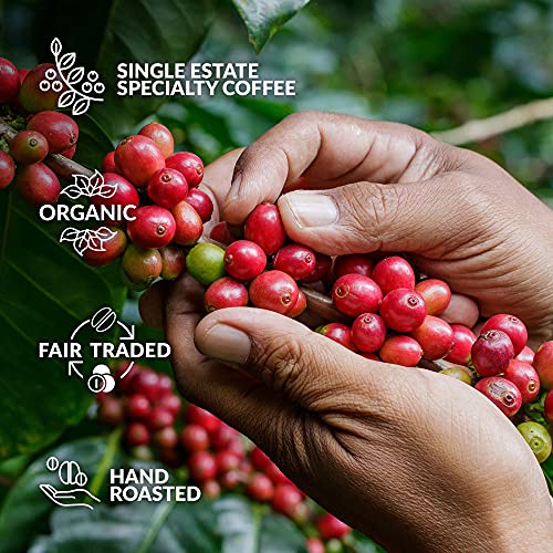 Summer Coffee Gift Set: 5 Gourmet Single Origin Coffees