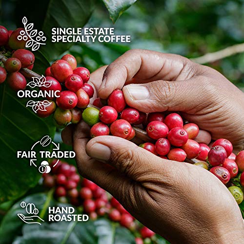 Gourmet Coffee Gift Set: 14 Specialty Single Origin Coffees