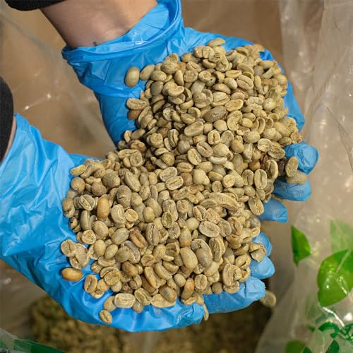 Sumatra Mandheling Single Origin Coffee Beans, 5lb | Kosher