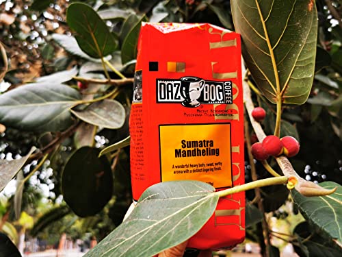 Dazbog Sumatra Whole Bean Coffee | 11 oz