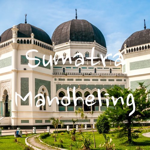 16oz Fresh Roasted Sumatran Organic Fair Trade Ground Coffee