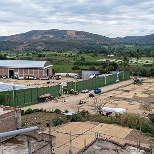 Tiny Footprint Coffee Peru Medium Roast Organic Whole Bean Fair Trade Carbon Negative 16 oz