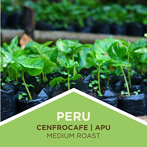 Tiny Footprint Coffee Peru Medium Roast Organic Whole Bean Fair Trade Carbon Negative 16 oz