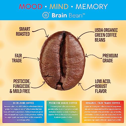 Organic Brain Bean Coffee - Smooth & Antioxidant-Rich Blend