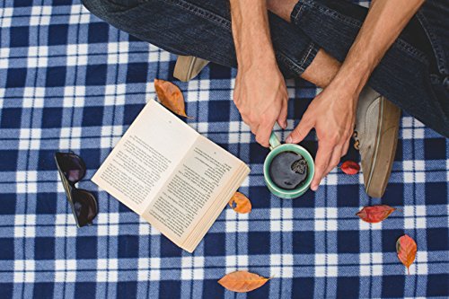 Equal Exchange Ethiopian Whole Bean Coffee, 12 oz (3 Pack)