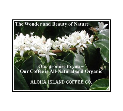 Organic Rainforest Alliance Fair Trade Dark Roast Ground Coffee