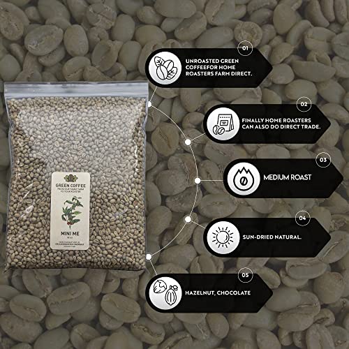 Unroasted Peaberry Green Coffee Beans | Direct Trade Arabica