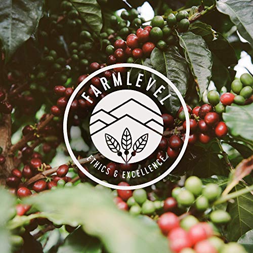 Verve Buena Vista Blend Whole Bean Coffee | 12oz Bag