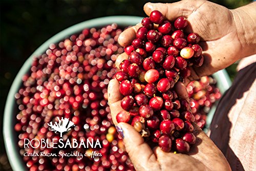 Costa Rican Coffee ROBLESABANA Tarrazu - SPECIAL RESERVE